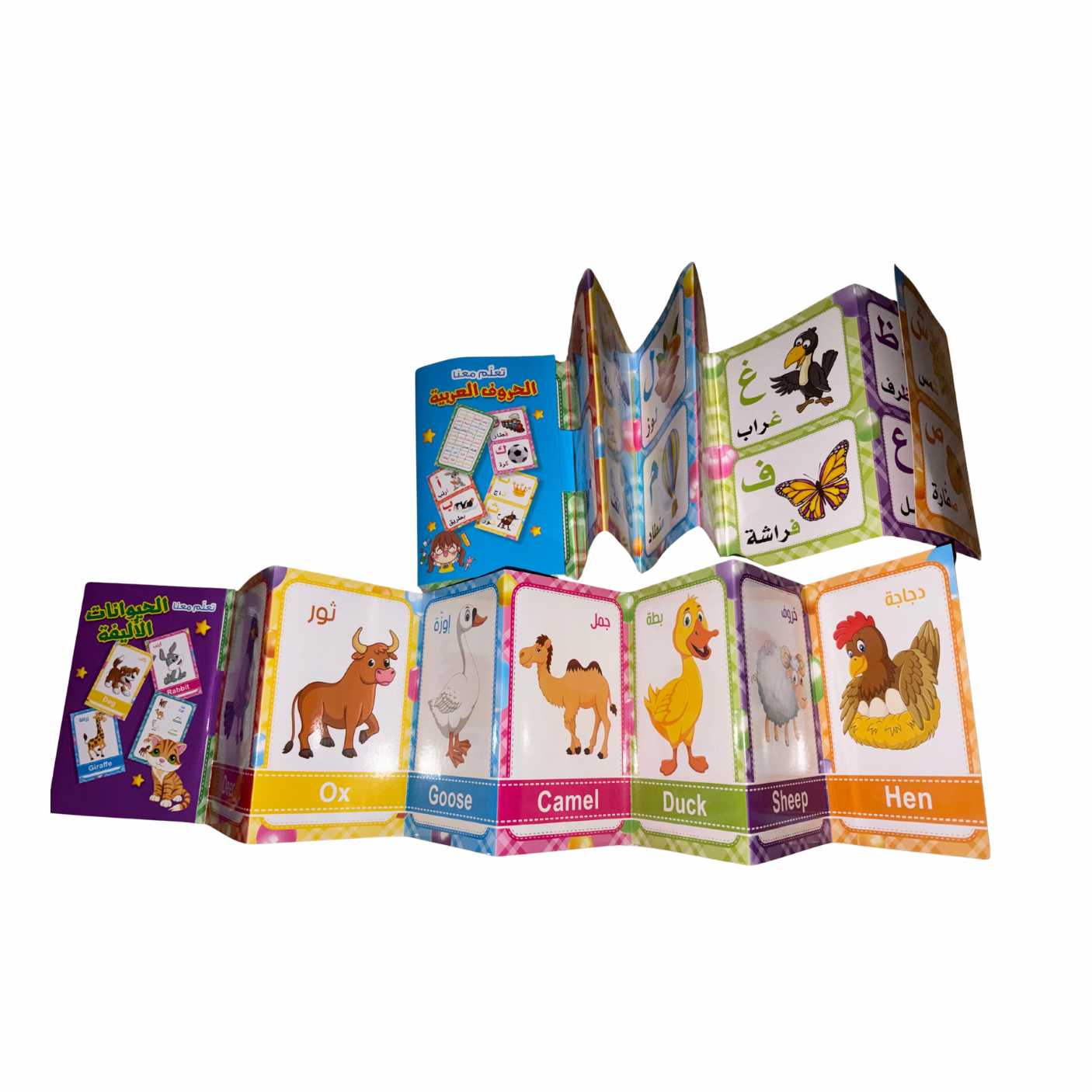 The comprehensive educational encyclopedia (9 pieces)